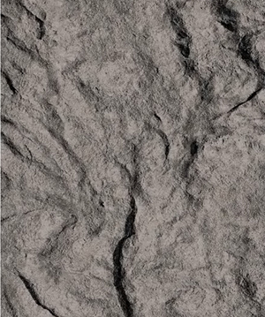 熔积岩_广东仿石漆_软瓷洞石夯土板布纹石_鎏金板厂家-万彩吧建材
